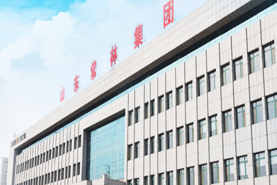 廣東省佛山市常林集團(tuán)